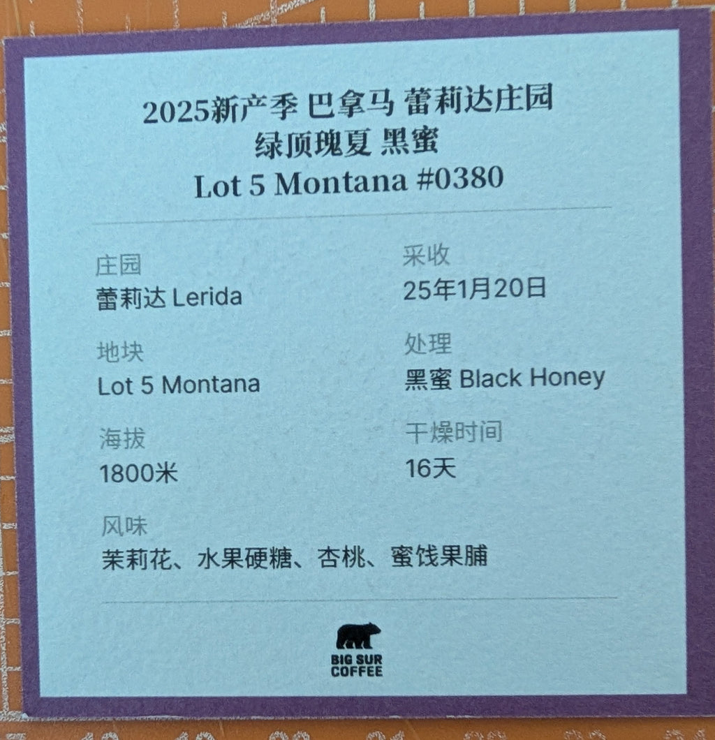 Big Sur - Finca Lerida (Panama) - Honey Gesha | 30g