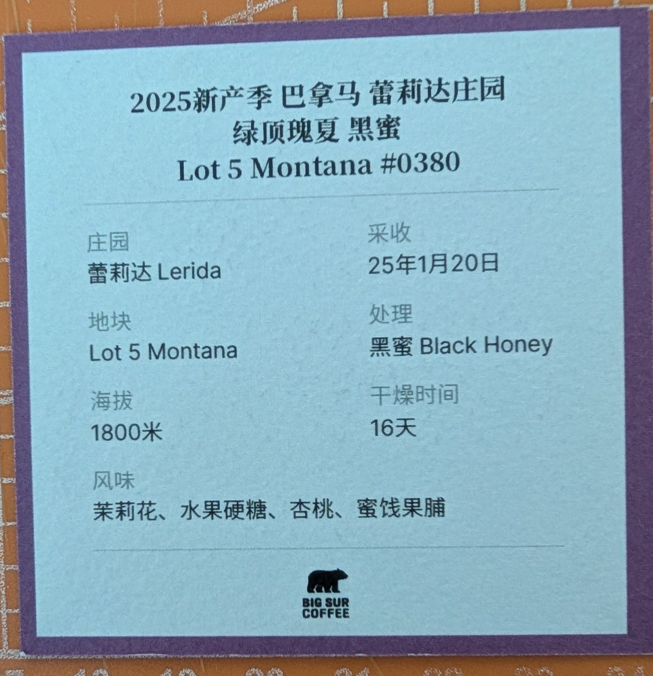 Big Sur - Finca Lerida (Panama) - Gesha | 30g