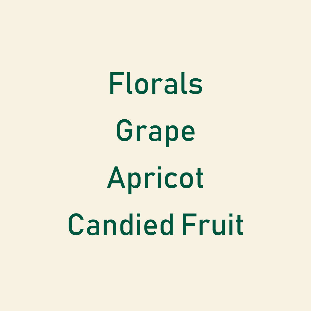 Big Sur - Finca Lerida (Panama) - Gesha | 30g