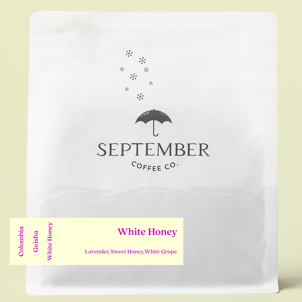 September - El Placer - Gesha | 50g
