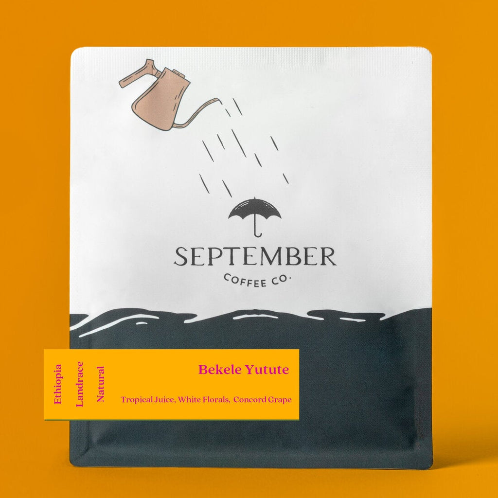 September - Bekele Yutute (Ethiopia) - JARC 74158 | 50g